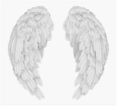 real angel wings png|transparent angel wings images.